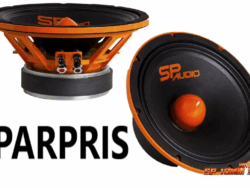 139731622-origpic-711422 SPAUDIO SP10MM